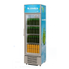 Visicooler James 300lts1P Bajo Cero C/Senefa MOD.VC-315
