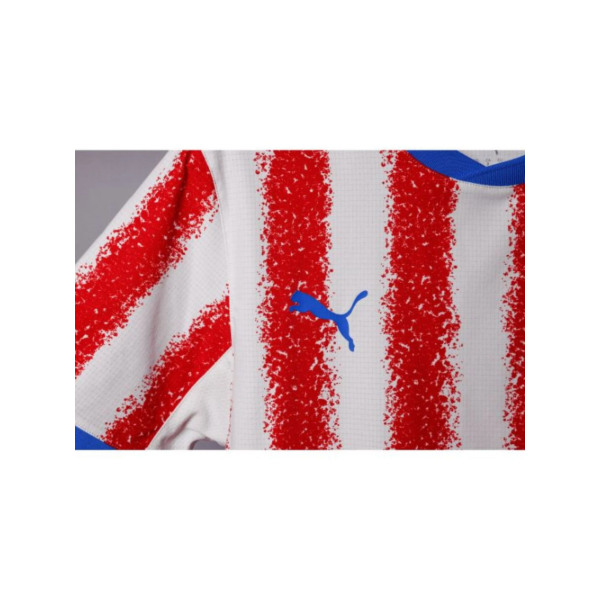 Camiseta Puma Paraguay Oficial Home 2026 - XL - Imagen 4
